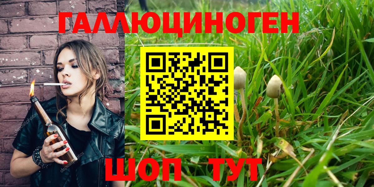 Галлюциногенные грибы прущие грибы Егорьевск